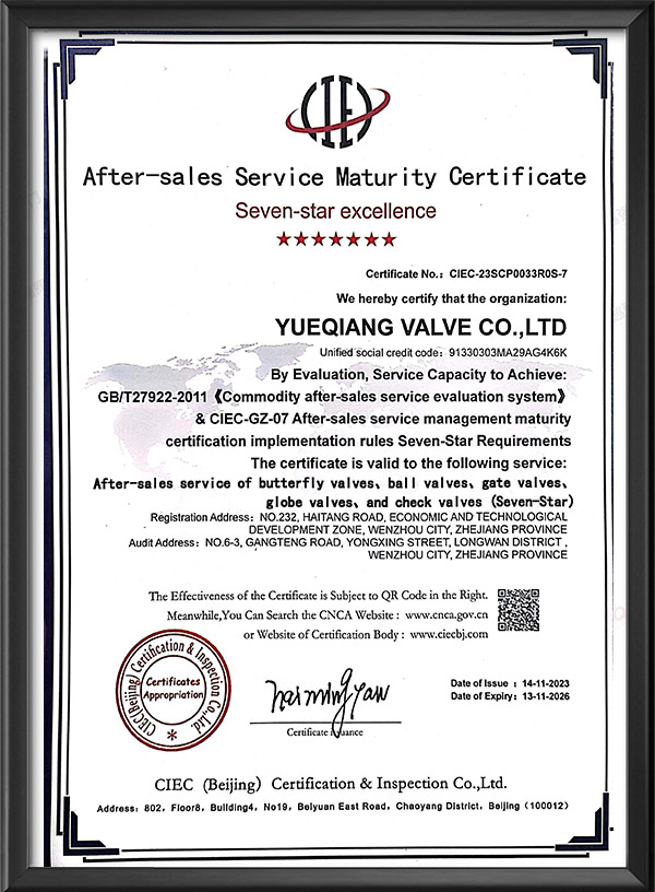 售后服務成熟度認證證書-英文